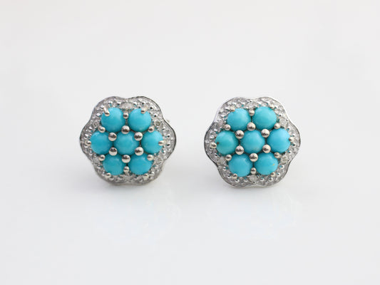 Turquoise and diamond earrings.